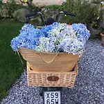 Bed and Breakfast Aqua&co - Eco Conscious