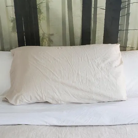 Bed & Breakfast Aqua&co - Eco Conscious *
