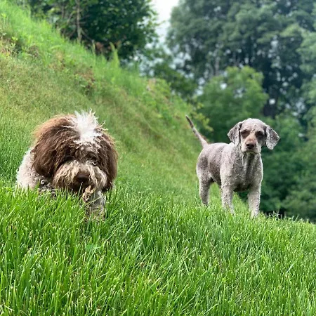 Aqua&co - Eco Conscious לינה וארוחת בוקר 4*