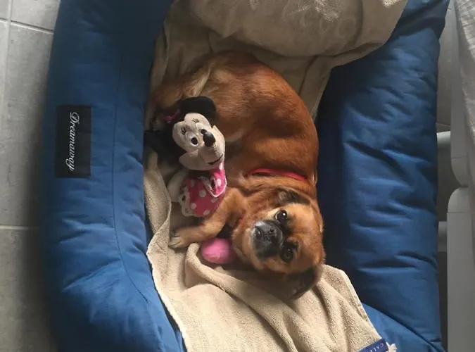 Aqua&co - Eco Conscious בלאג'יו