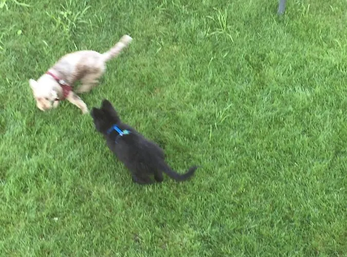 לינה וארוחת בוקר Aqua&co - Eco Conscious 4*