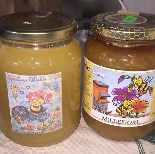 לינה וארוחת בוקר Aqua&co - Eco Conscious 4*