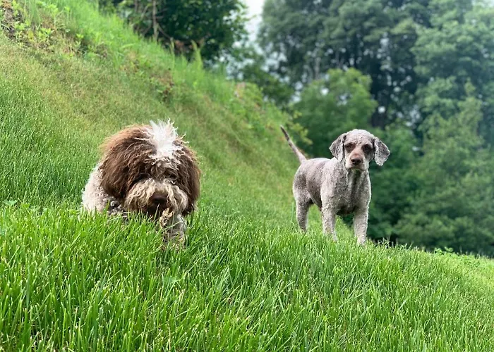 Aqua&co - Eco Conscious לינה וארוחת בוקר 4*