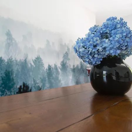 Aqua&co - With Bed & Breakfast